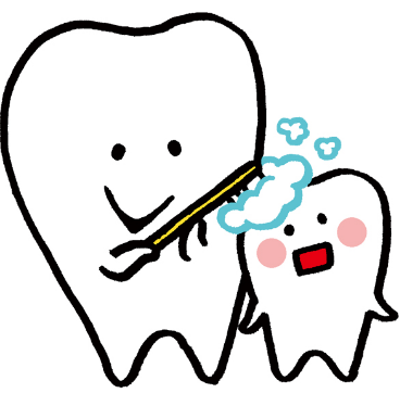 定期検診（歯のクリーニング）